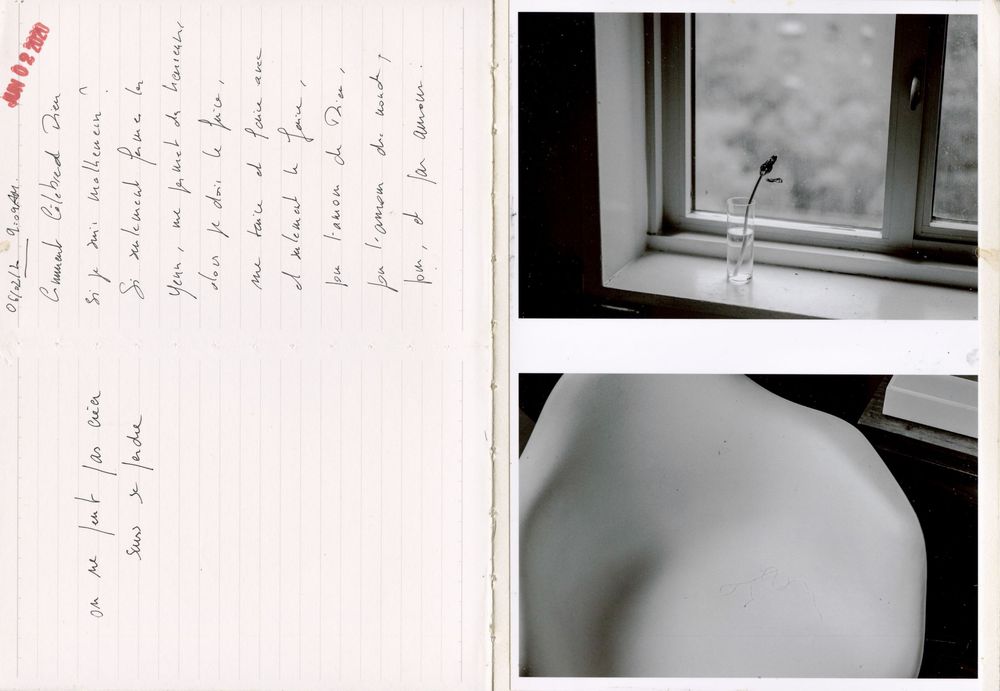 Handwritten letter beside two photos: a flower in a vase on a windowsill and a close-up of a white ceramic sink.