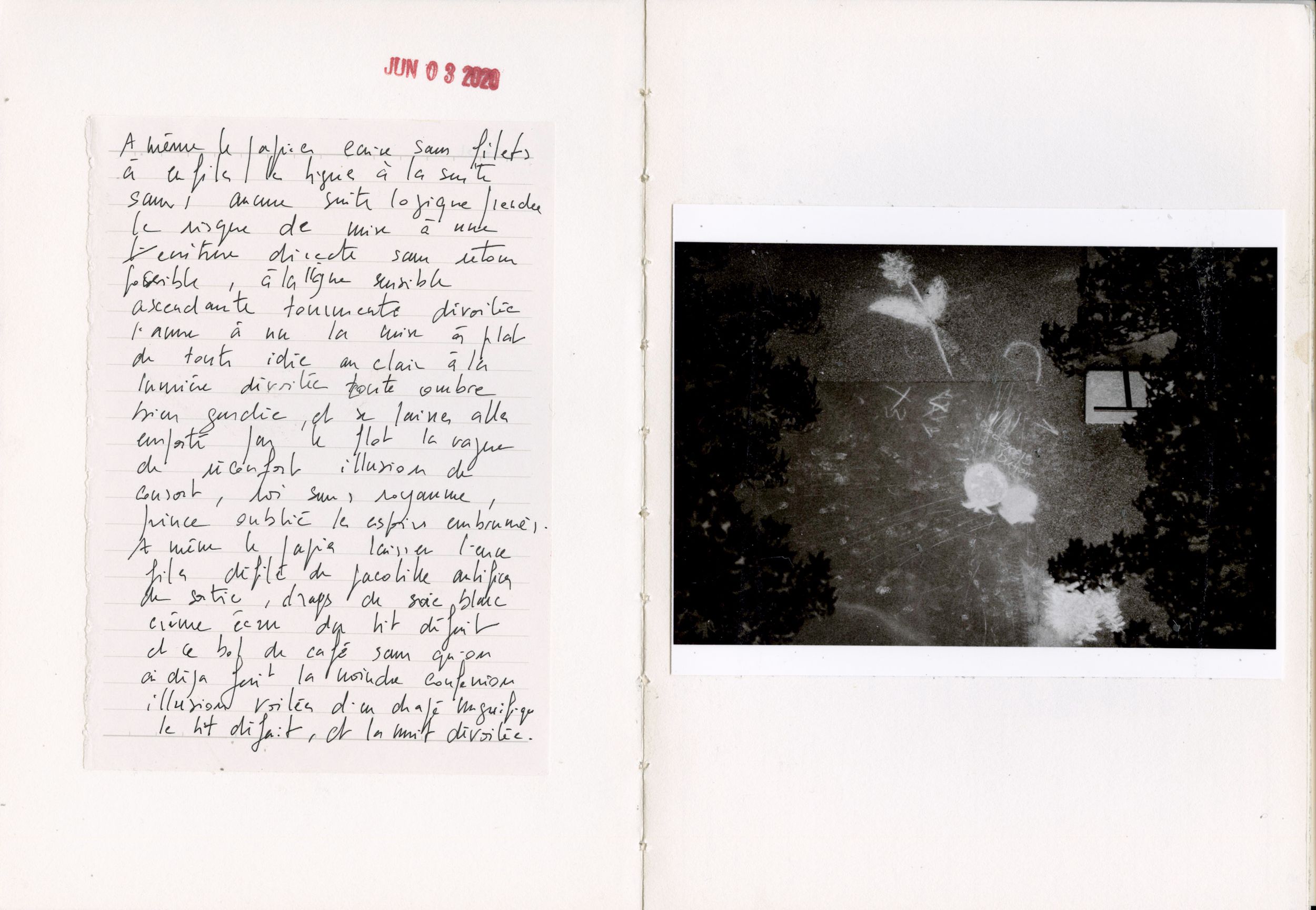 Open book spread showing handwritten French text on left page and dark artistic photograph of trees on right page.
