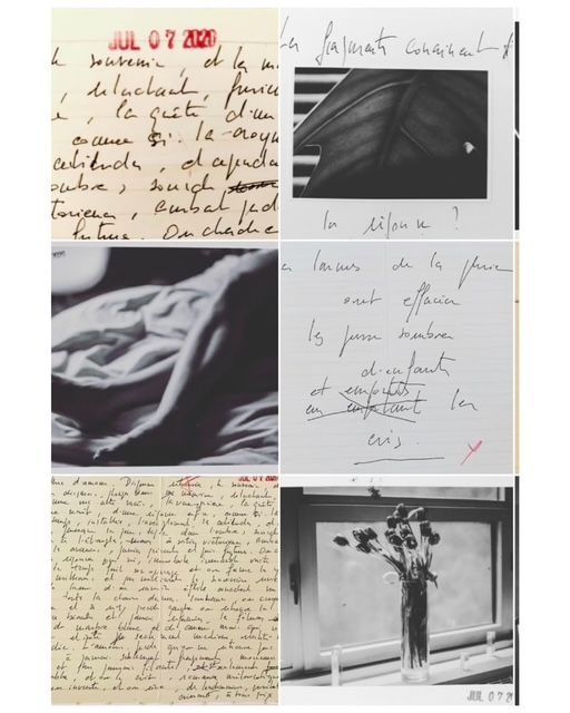 Collage of handwritten French letters, black and white photos of fabric, leaves, and flowers in a window.