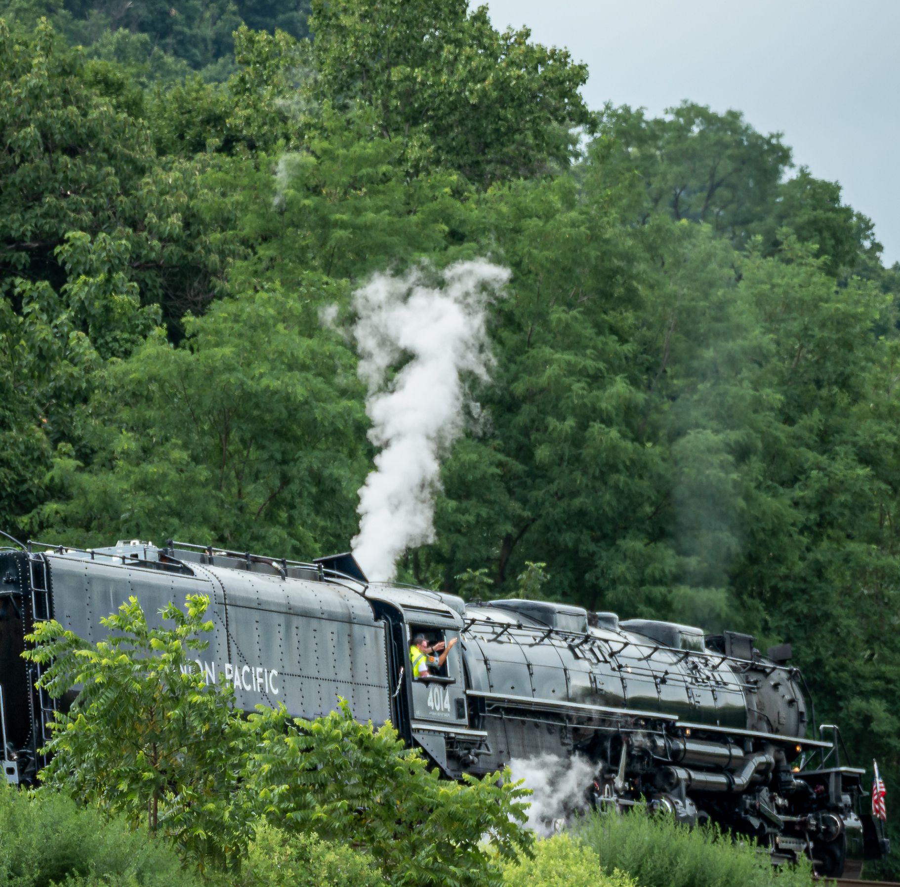Union Pacific steam locomotive billowing white smoke through lush green forest trees on a scenic railway journey.