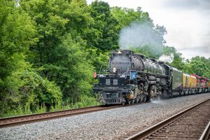 A vintage black steam locomotive pulls colorful freight cars along a track surrounded by lush green trees.