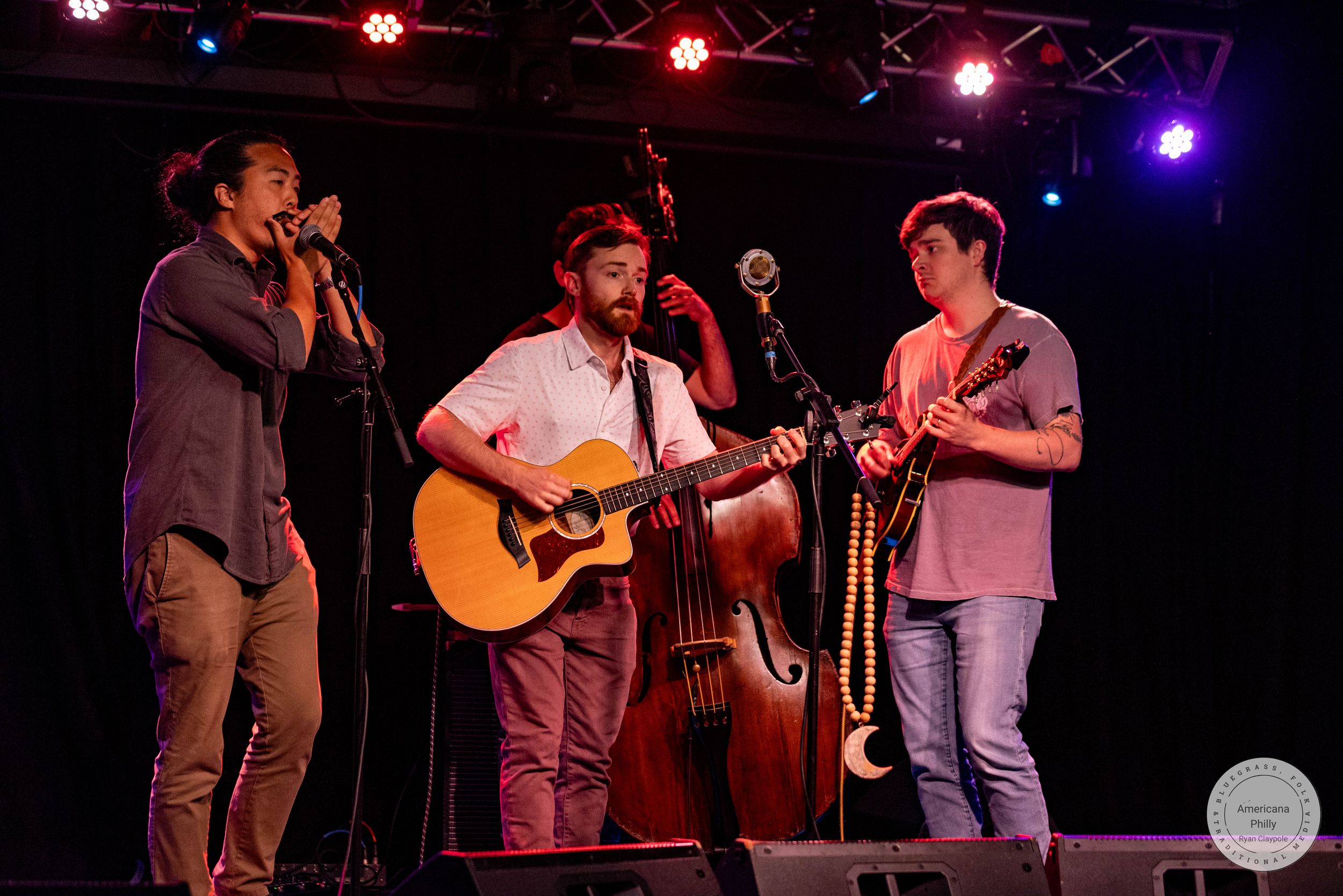 Four musicians perform on stage, featuring acoustic guitar, upright bass, banjo, and vocals at a live concert.