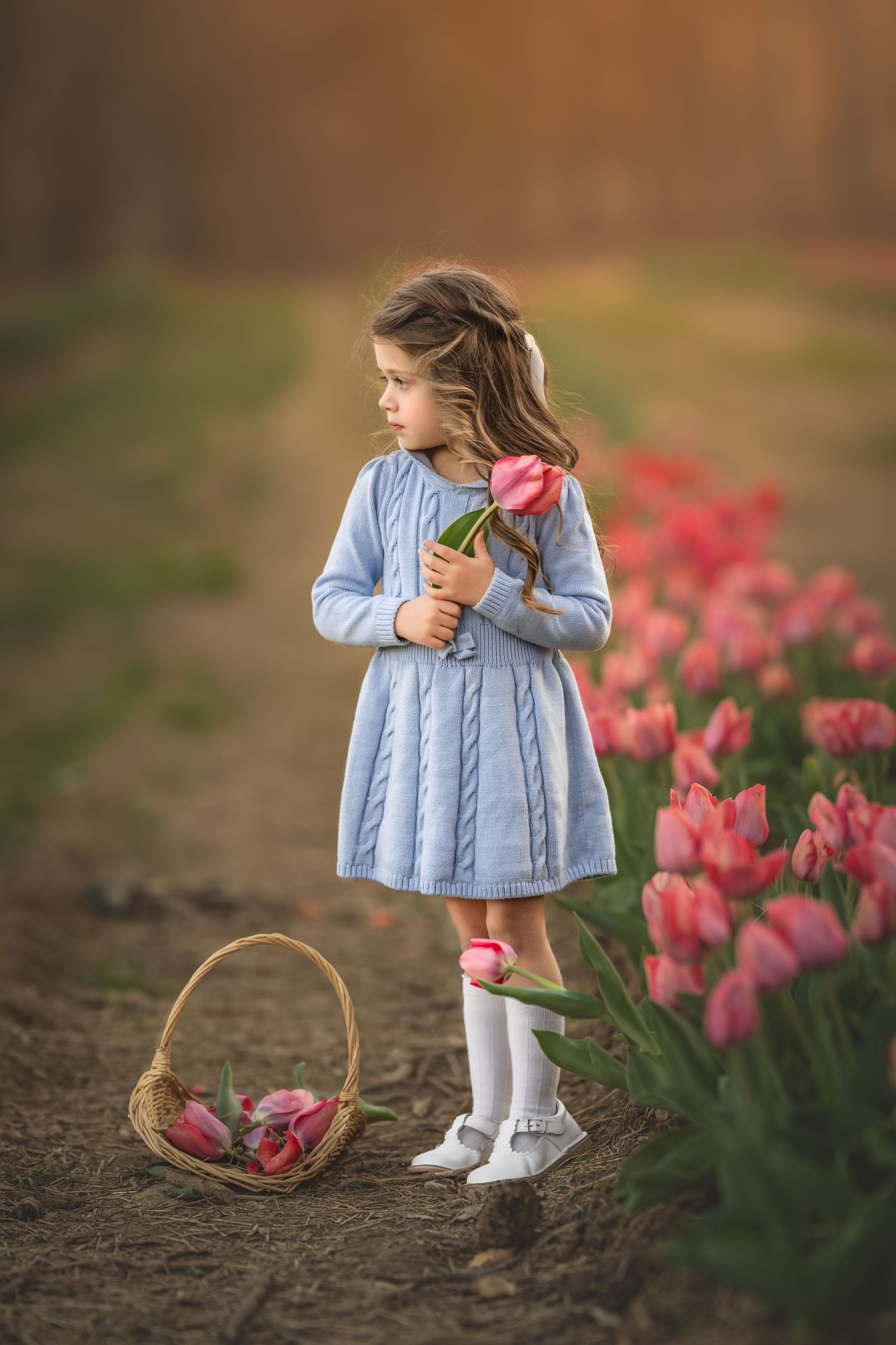 Child in blue knit dress and white boots stands among pink tulips with a woven basket on spring day.