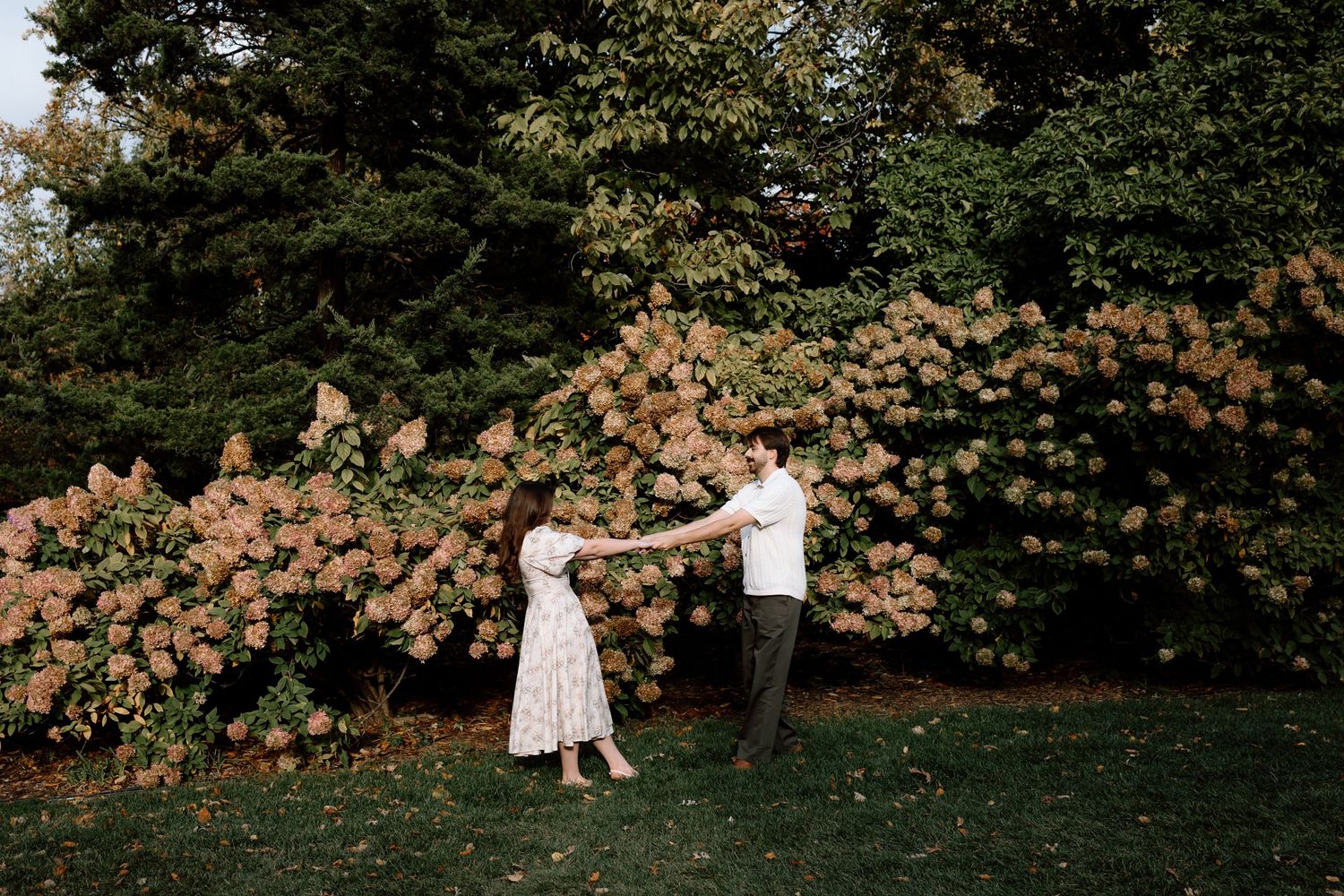 Couple holds hands and dances in front of a large blooming hydrangea tree in a lush garden.