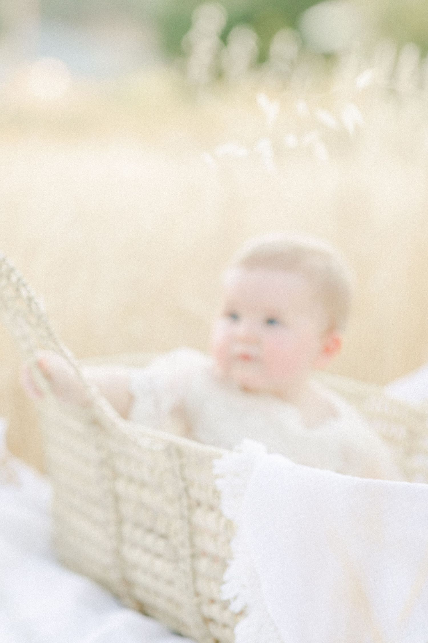 A baby sits in a woven basket outdoors in a soft, dreamy field setting wearing white.