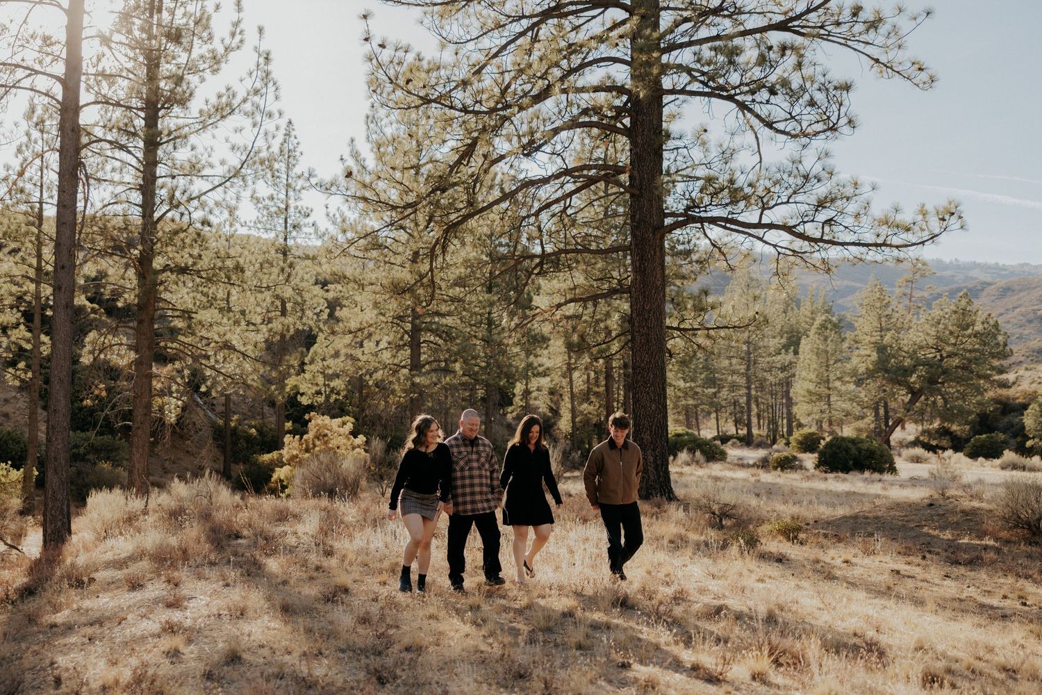 Four people walking together through a sunny pine forest meadow with mountains in the background.