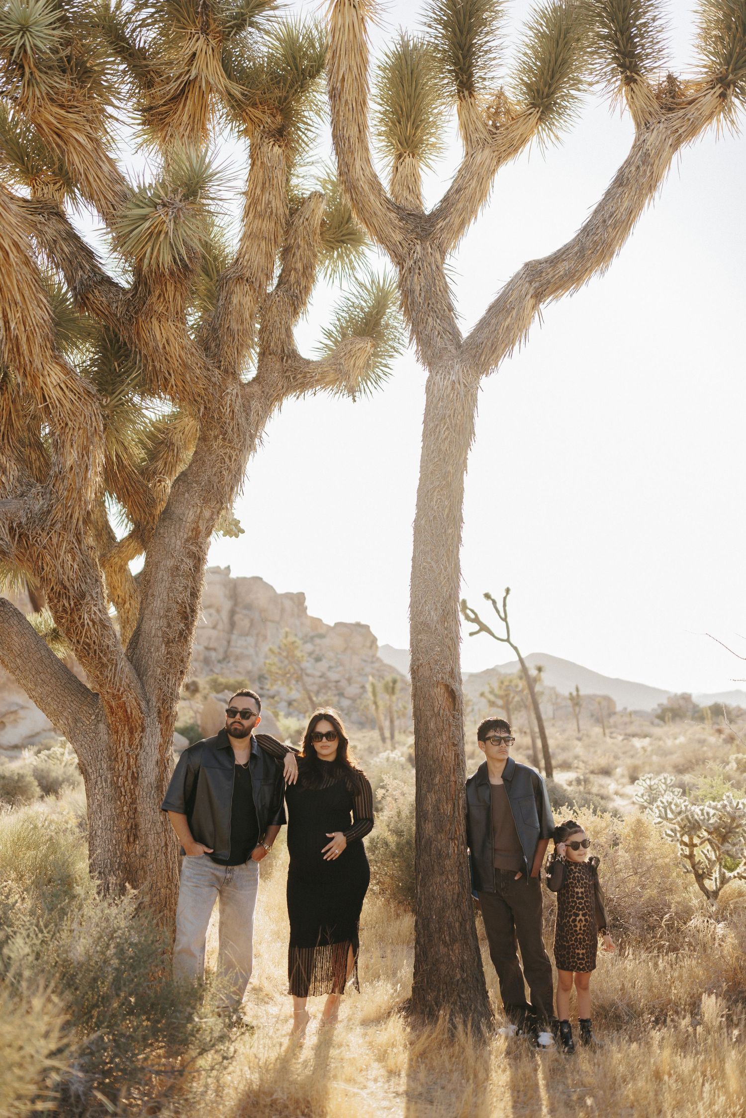 Family of four poses among Joshua trees in a sunlit desert landscape, with rocky hills in the background.