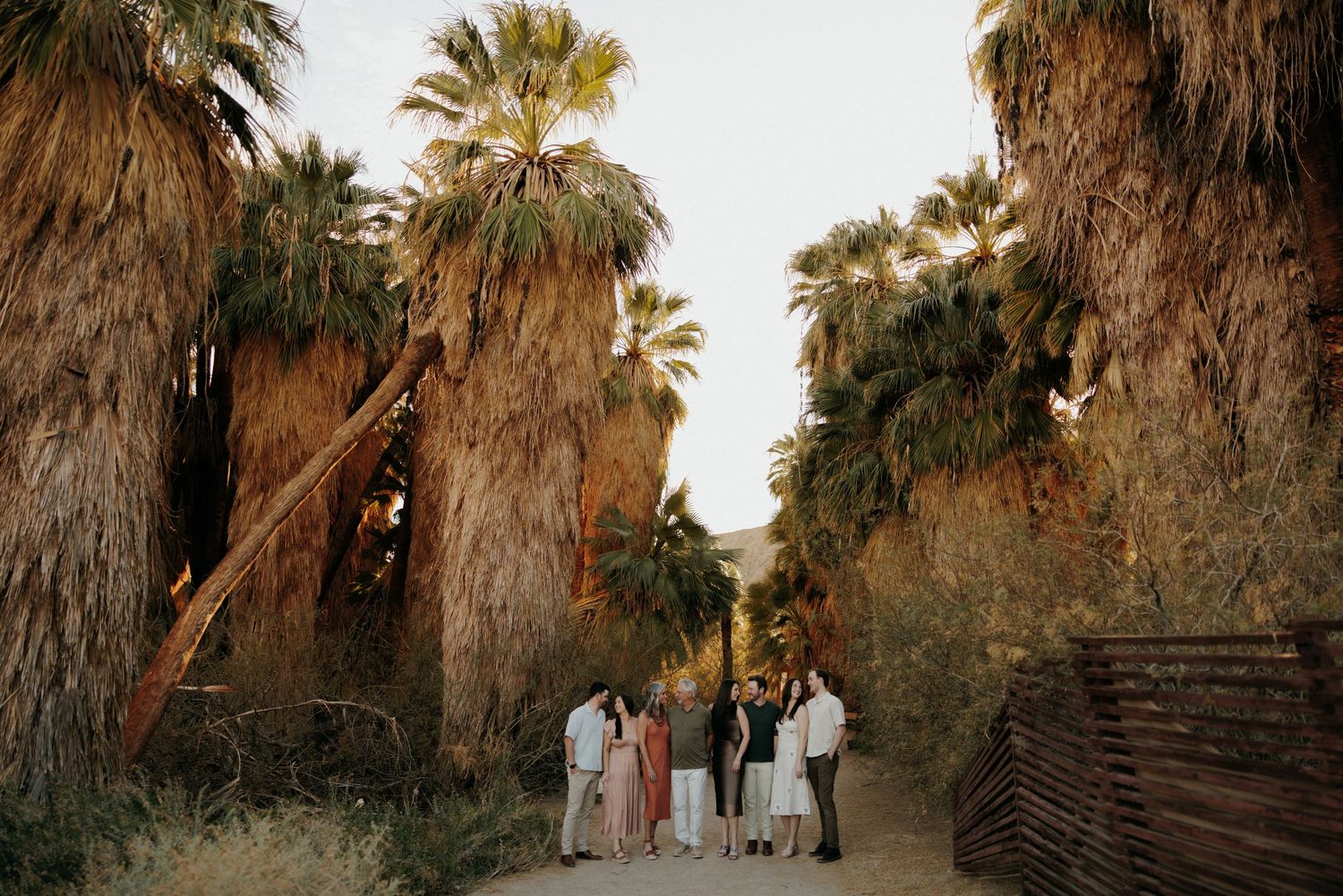 Small group of people gathered among tall desert palm trees on a sandy path at golden hour in an arid landscape.