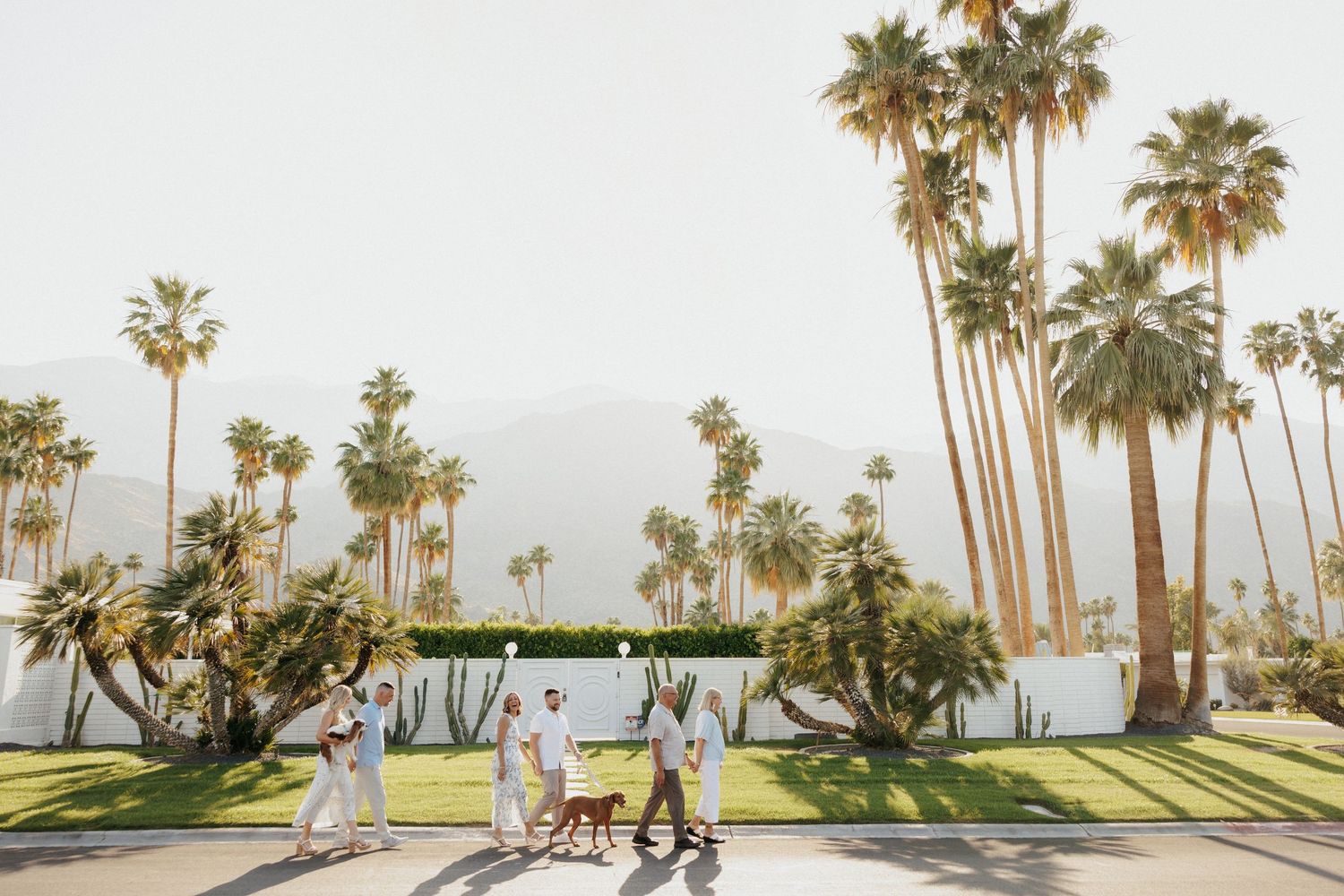 Family walking a dog along a palm tree-lined path with mountain views in sunny Palm Springs, California.