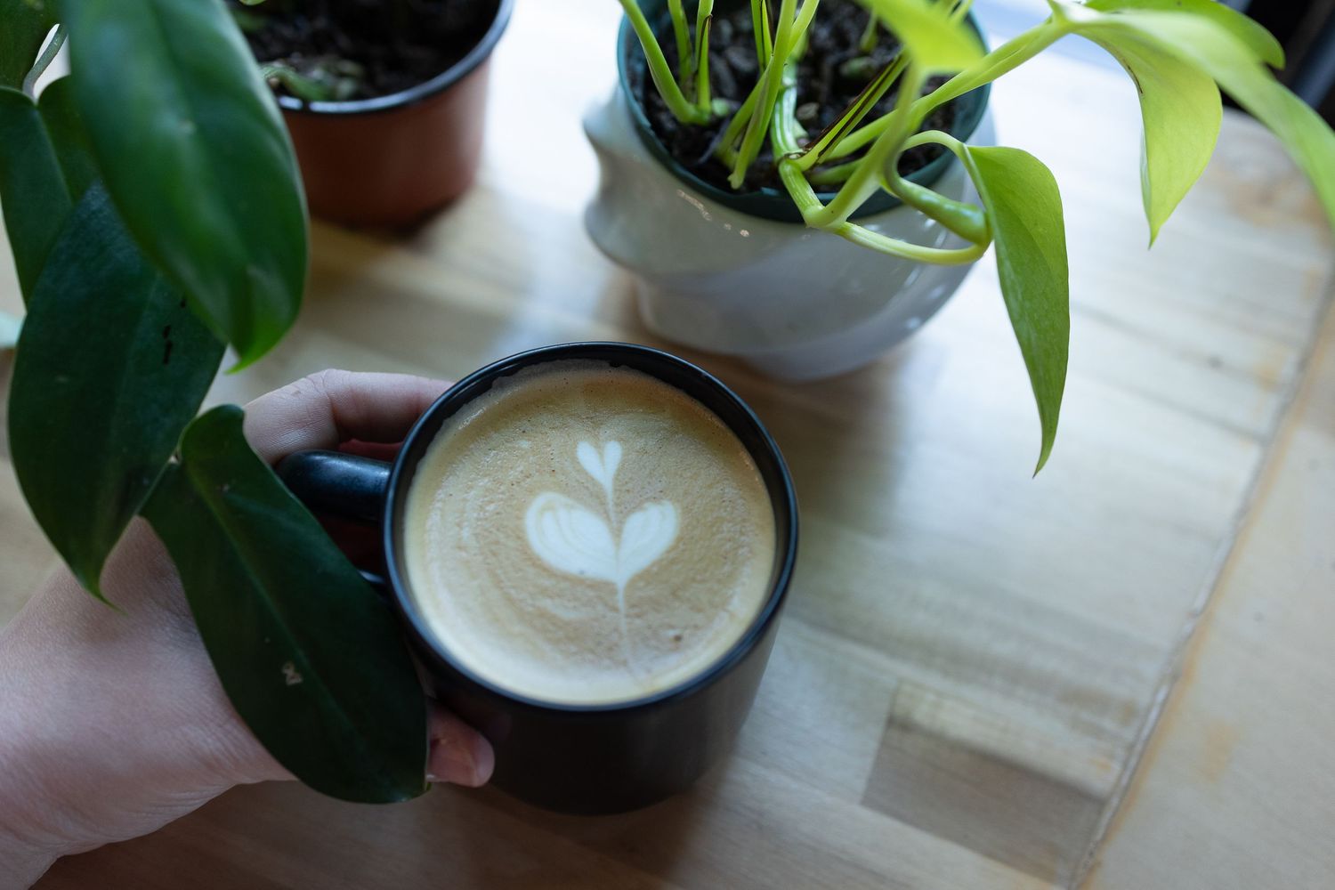 Hand holding a black mug with latte art heart surrounded by green houseplants on a wooden table.