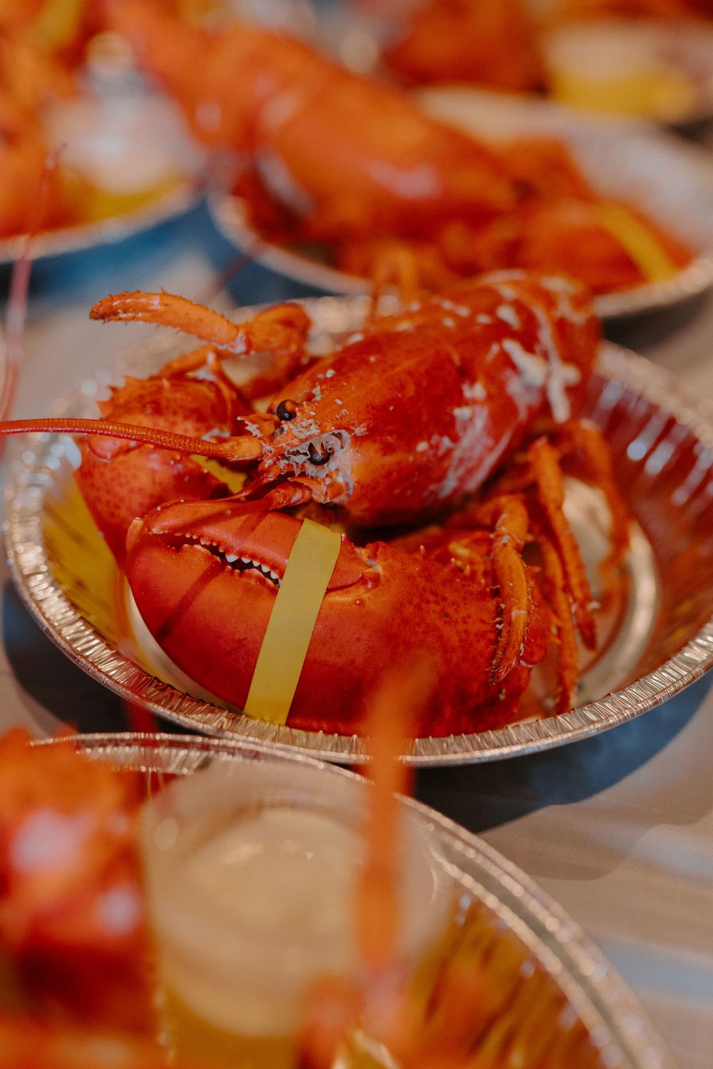 Freshly cooked whole red lobster served in aluminum tray at wedding reception dinner.