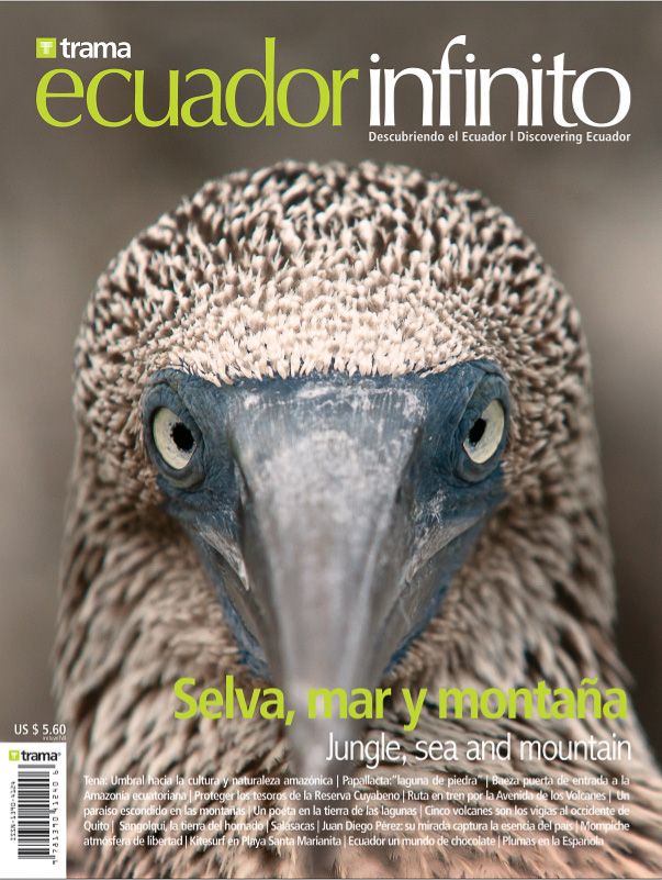 Ecuador Infinito magazine cover featuring a close-up of a blue-footed booby bird with text Selva, mar y montana.