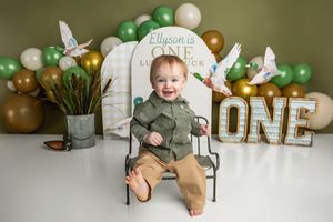 Baby boy in green shirt sits in chair at ONE birthday party with balloons and bird decorations.