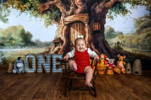 Baby's first birthday photo with Winnie the Pooh theme, sitting in chair before ONE letters and tree backdrop.