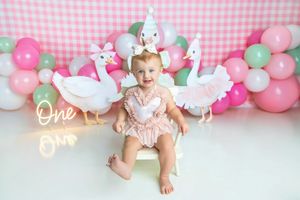 Baby girl in pink romper sits before balloon arch with goose decorations and One neon sign at first birthday cake smash.