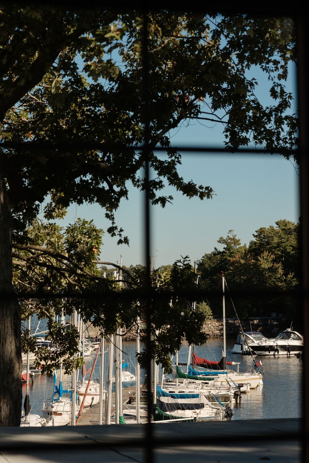 View through a window of sailboats docked at a marina, framed by lush green trees under a clear blue sky.