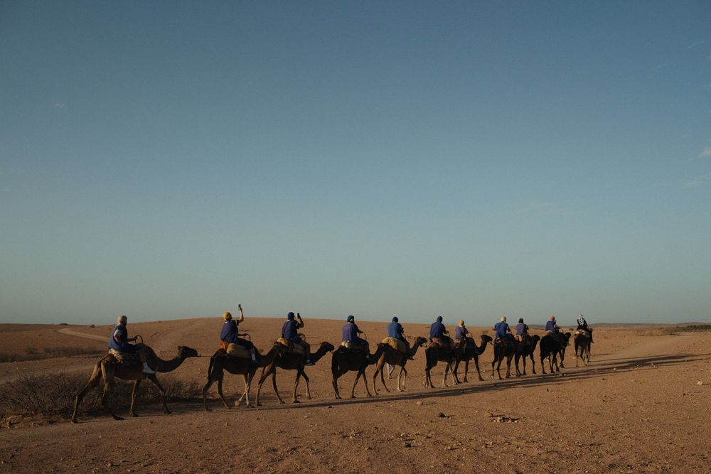 Camel rides in Morocco