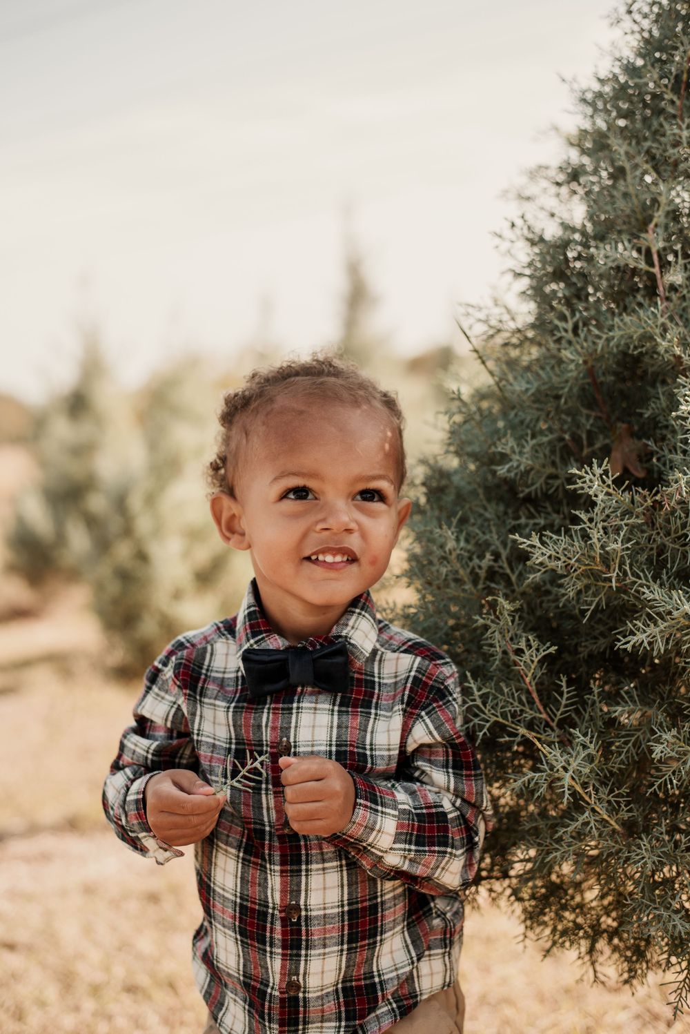 Smiling toddler boy in plaid shirt and bow tie standing near evergreen tree outdoors.