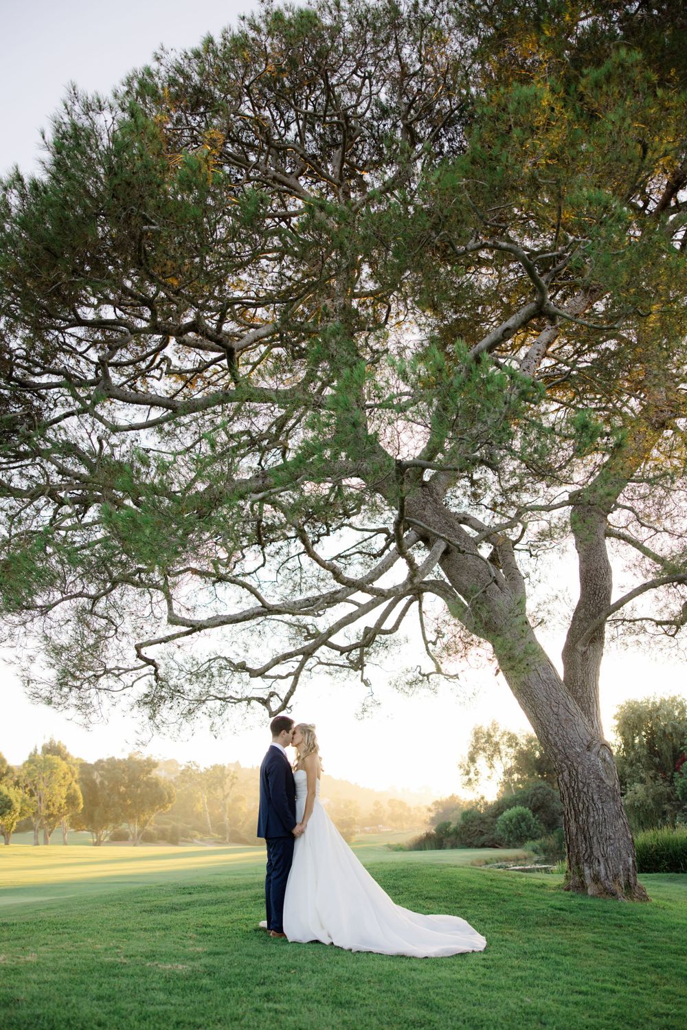 A wedding couple stands beneath a majestic spreading tree at sunset on a grassy lawn.