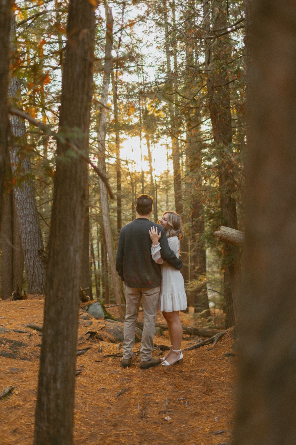 Couple walking through sunlit forest on pine needle covered trail.