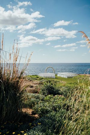Coastal landscape with tall sea grass swaying in the breeze against a blue ocean and puffy white clouds in the sky.