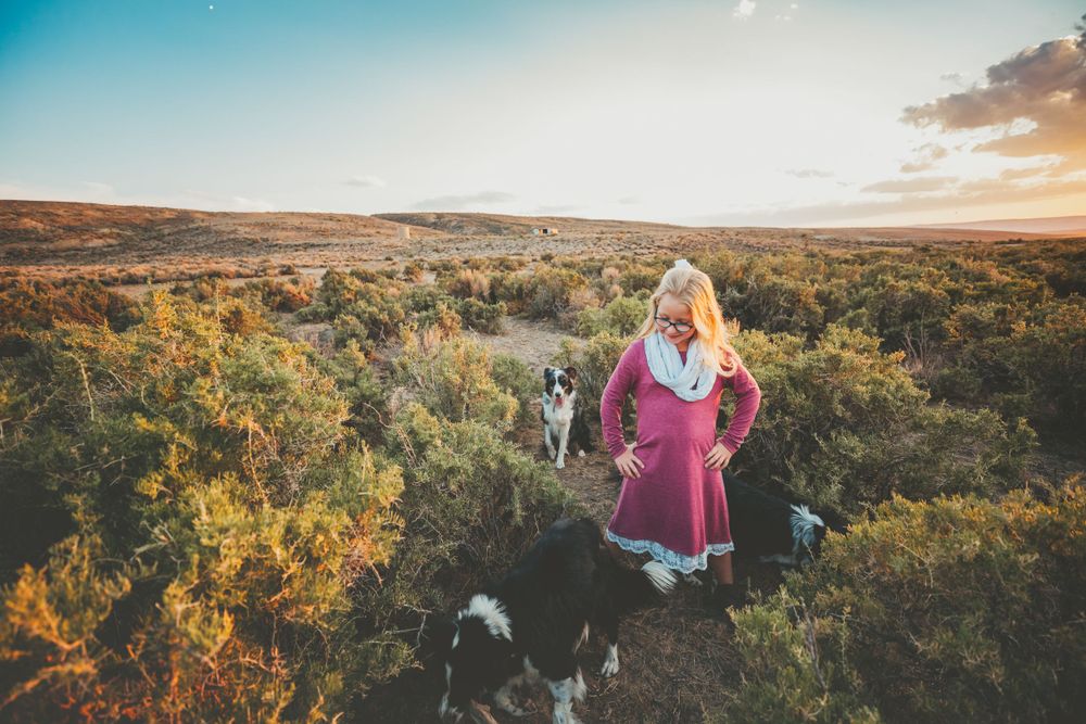 Little girl walks with her two dogs among brush and grass in Dickson, TN