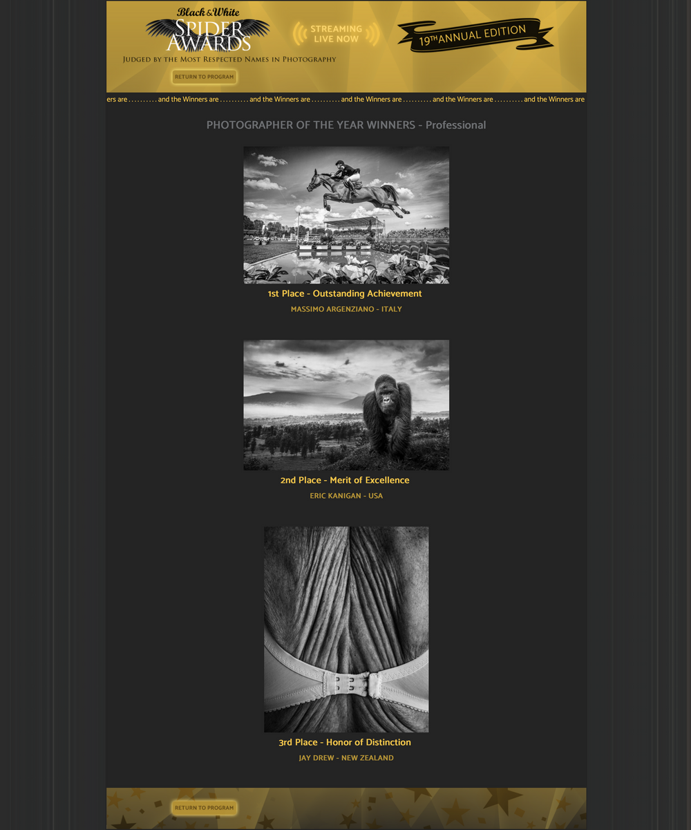 Foto Vincitrice Spider Black and White Awards