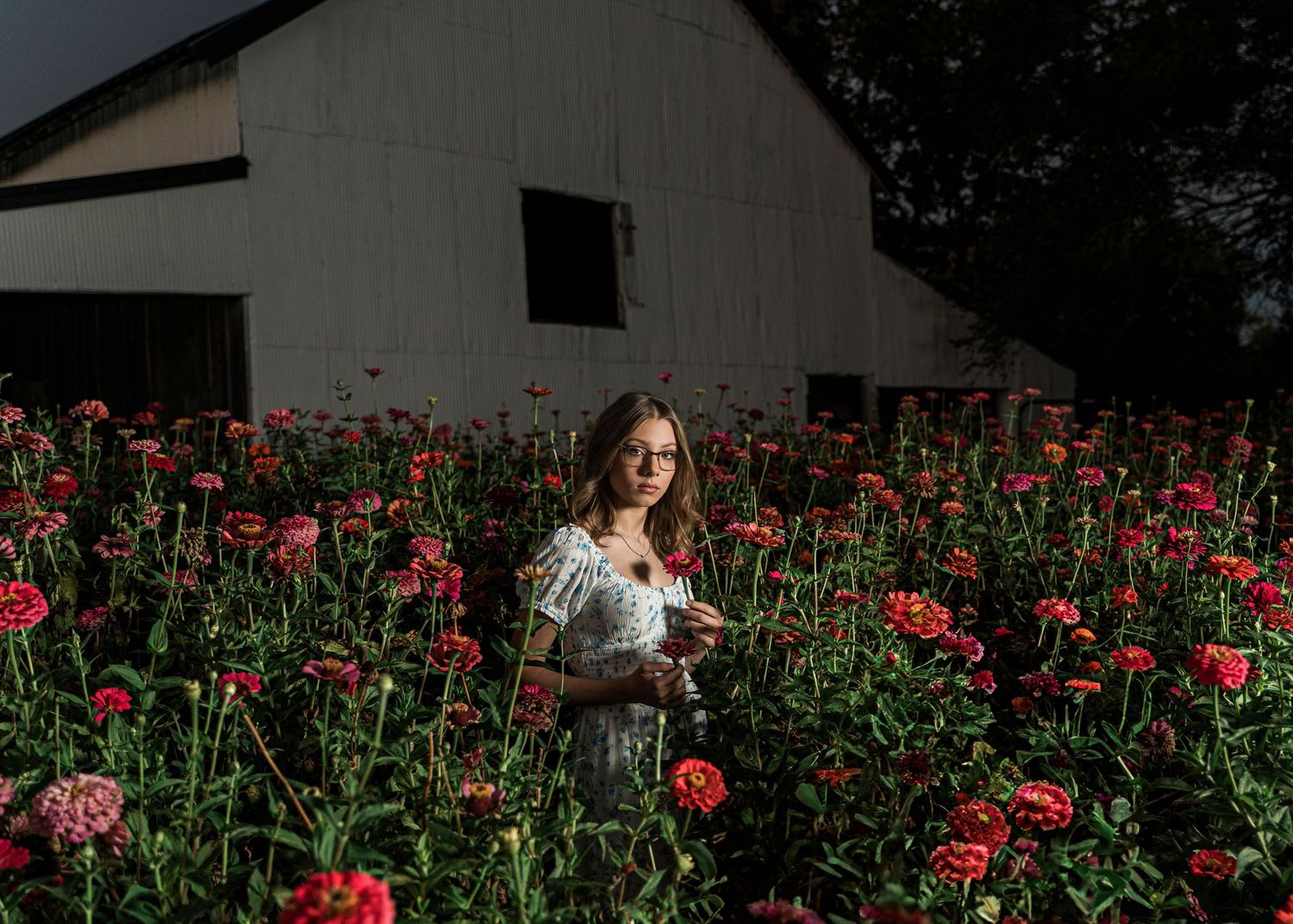 A field of vibrant red poppies blooms in a garden with people walking among the flowers.