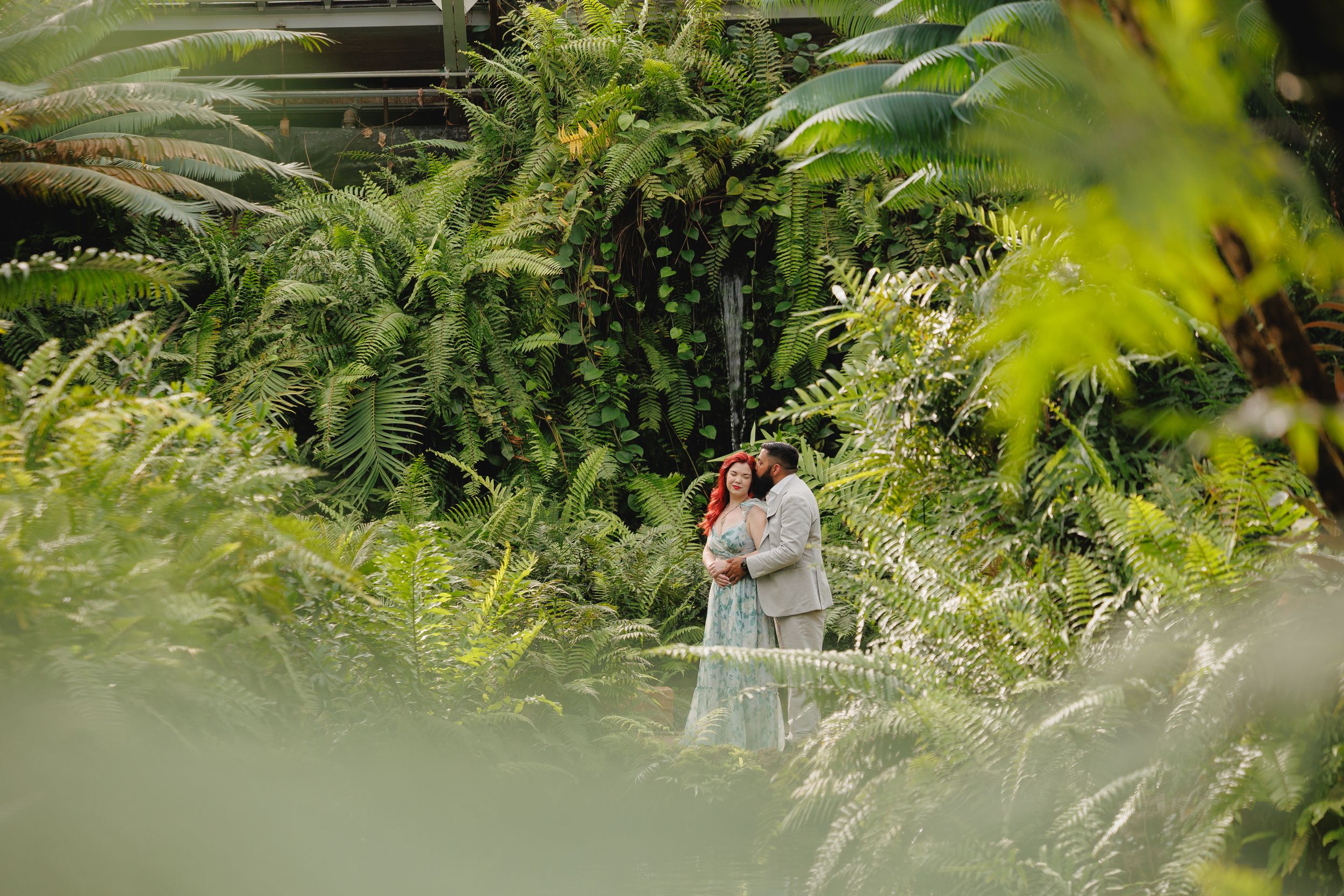 Lush green ferns and foliage create a natural woodland setting with dappled sunlight filtering through the leaves.