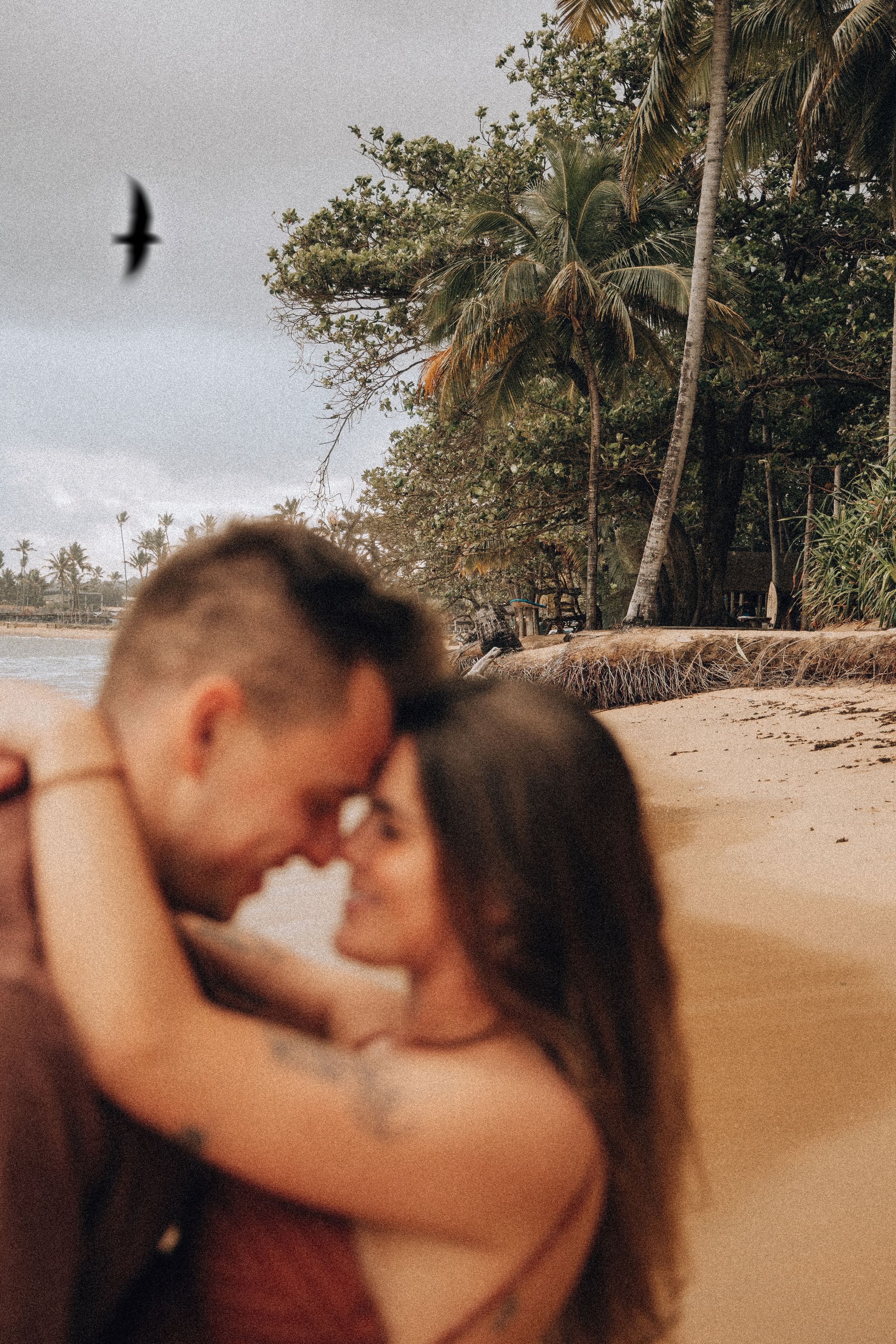 Couple touching foreheads intimately on tropical beach with palm trees, bird flying overhead in cloudy sky.