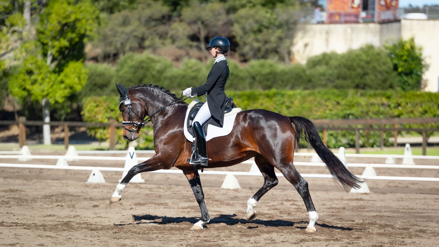 Tori Luxford & 'Revelwood Animation' in the Prix St George at Bowral Dressage Club's SIEC competition. © Simon Scully.