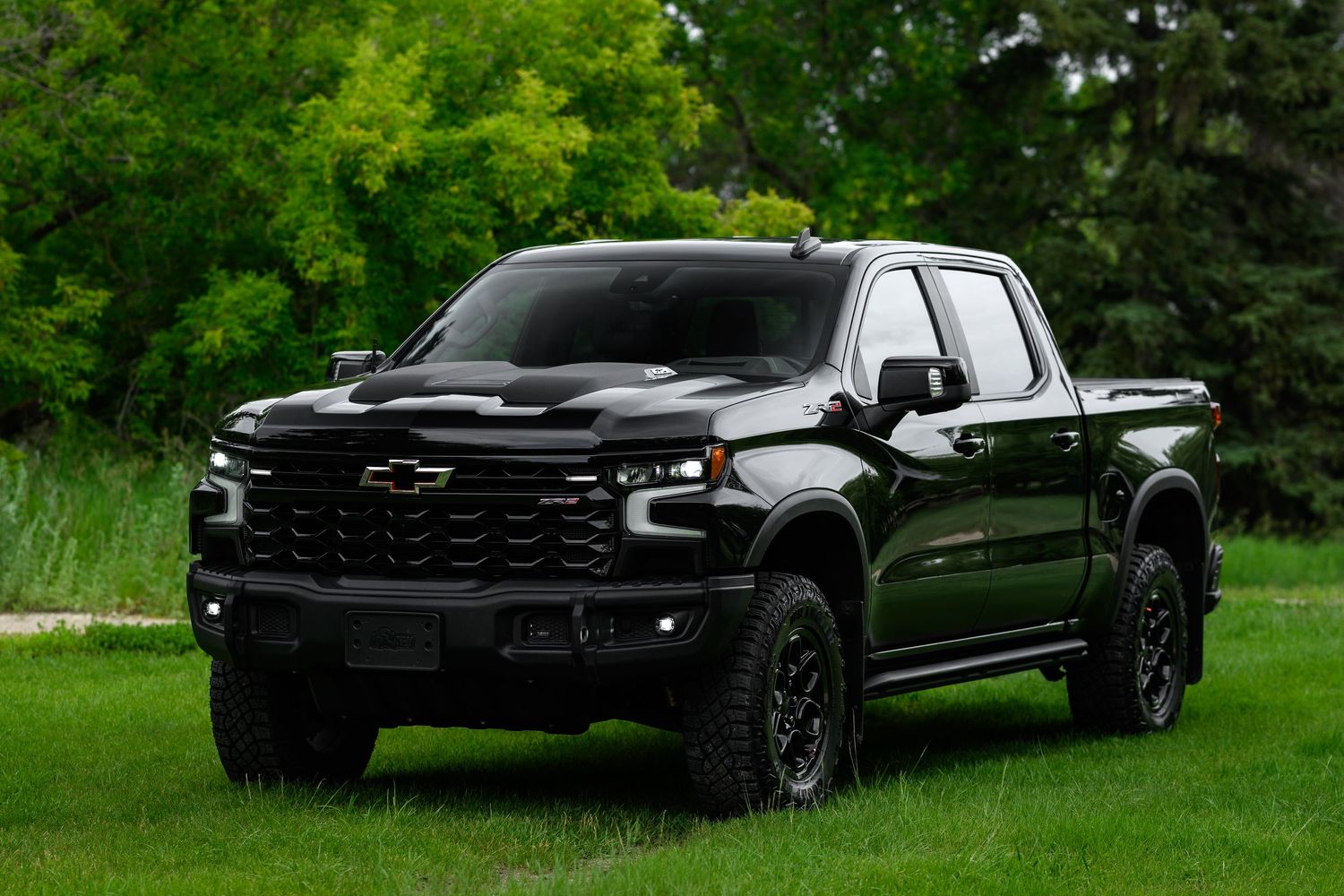 Black pickup truck photographed at different angles on green grass showing sleek exterior design and custom modifications.
