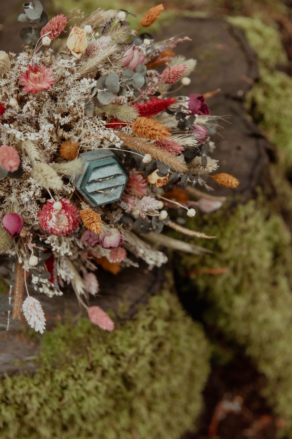 Mountain Elopement Photograph taken by PNW Elopement Photographer.