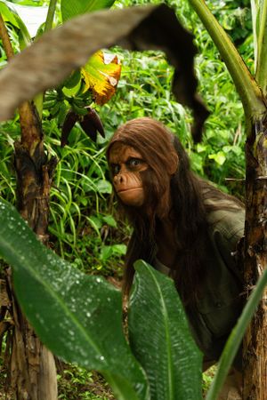 Monkey sfx makeup realistic girl ape