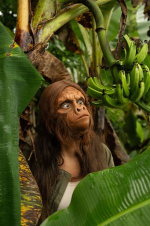 Monkey sfx makeup realistic girl ape