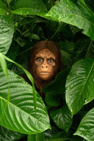 Monkey sfx makeup realistic girl ape