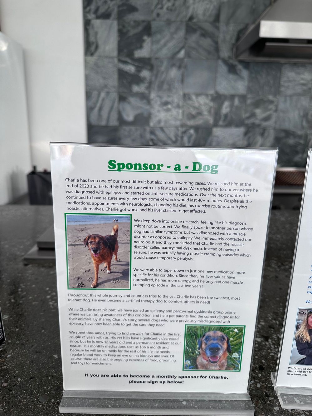 A flyer promoting dog sponsorship shows a brown dog photo and sponsorship details on a white paper display stand.