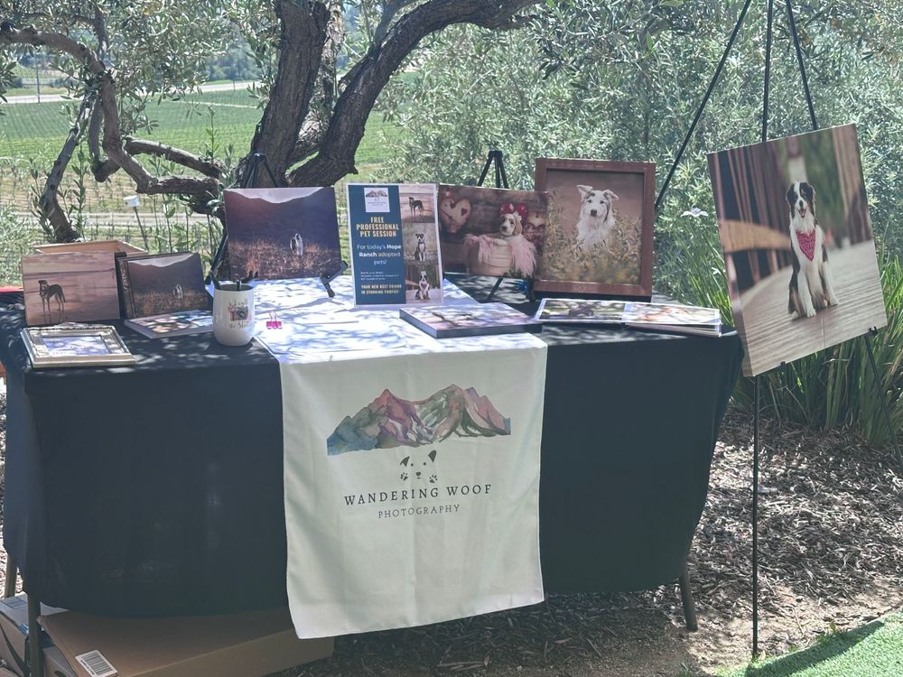 Vendor booth with books, merchandise and tote bags displayed on black table under oak trees at outdoor market.