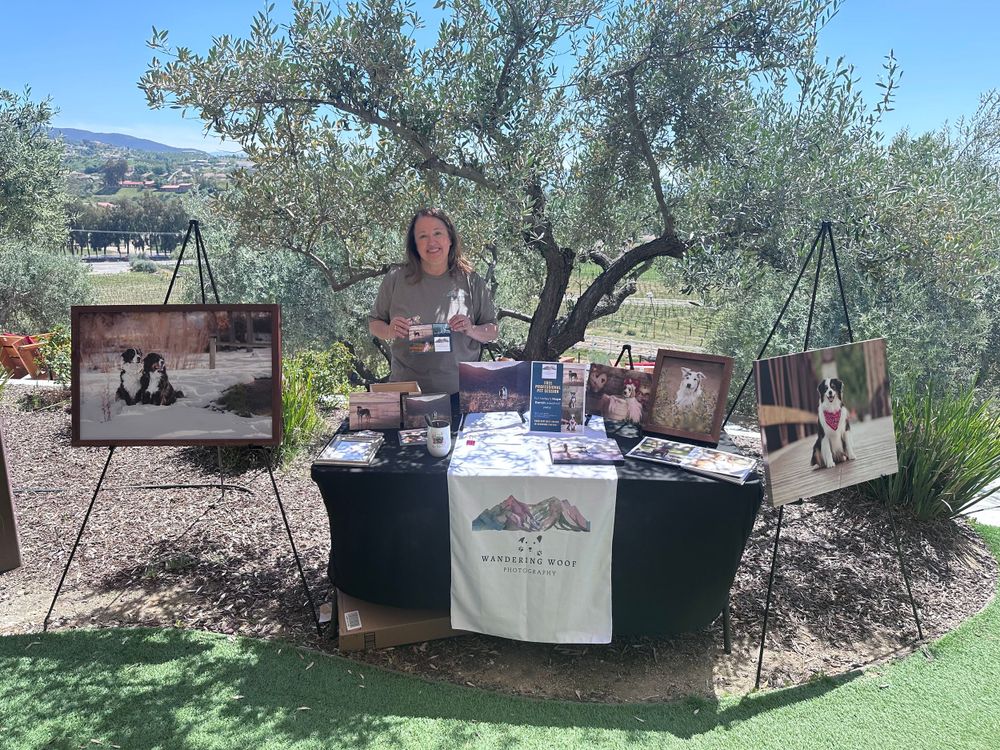 Local vendor displays handmade artwork and paintings at an outdoor market booth with olive trees in the background.