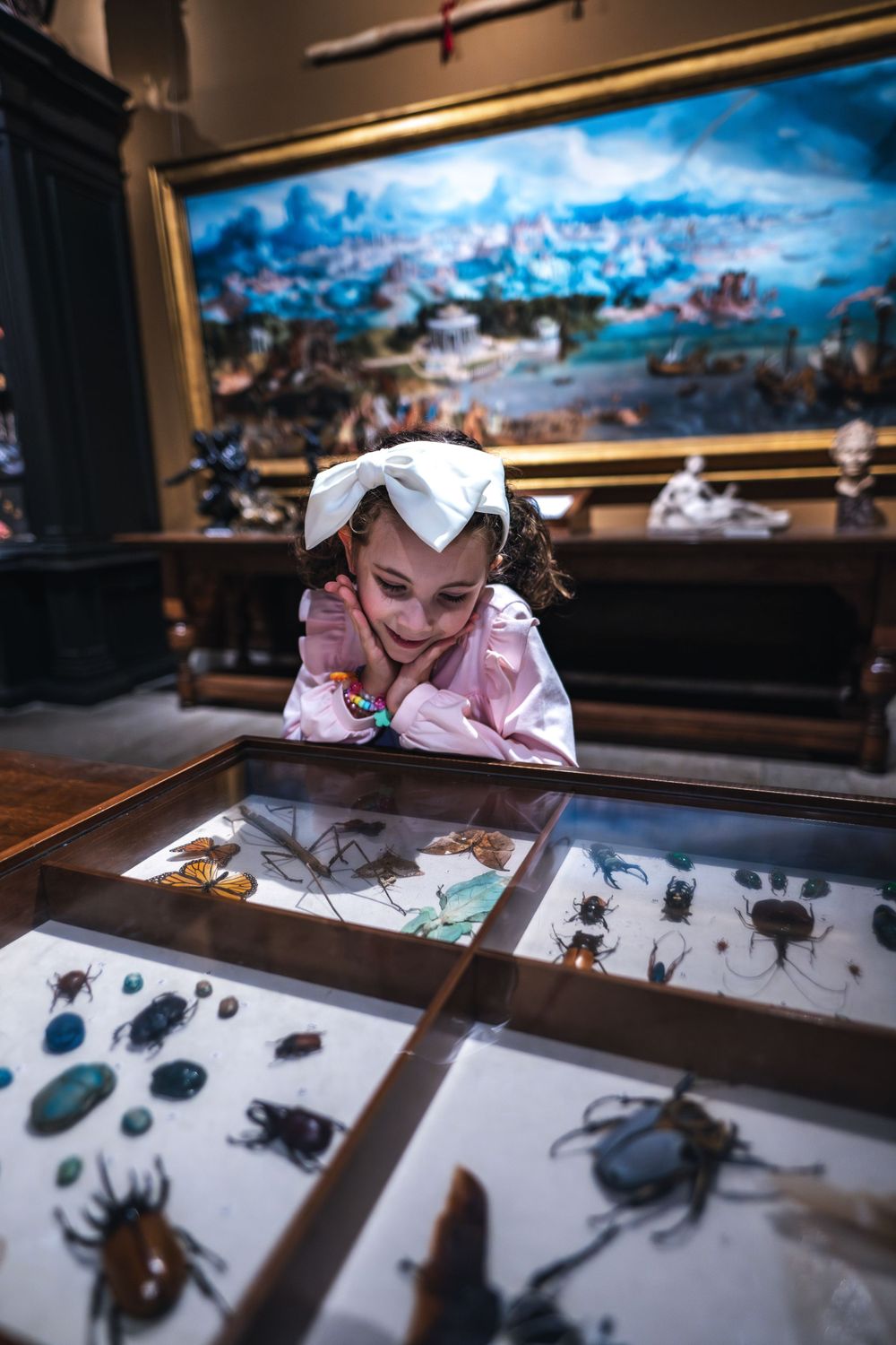 A curious visitor views an insect display case in a museum exhibit featuring beetles and other specimens.