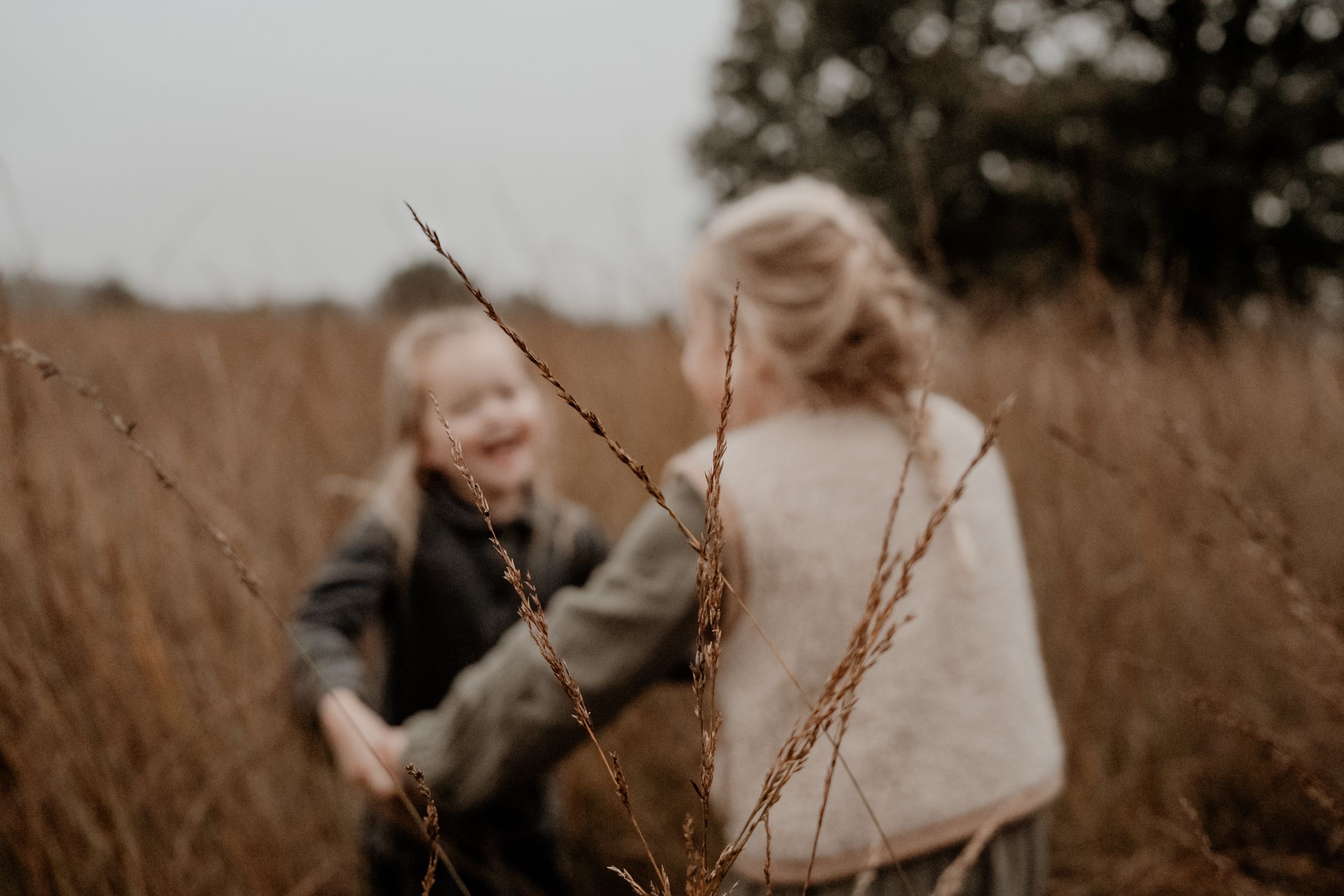 Kinderen gelukkig aan het spelen tijdens een fotoshoot met de familie. Strabrechtse heide in Heeze Leende natuurgebied.