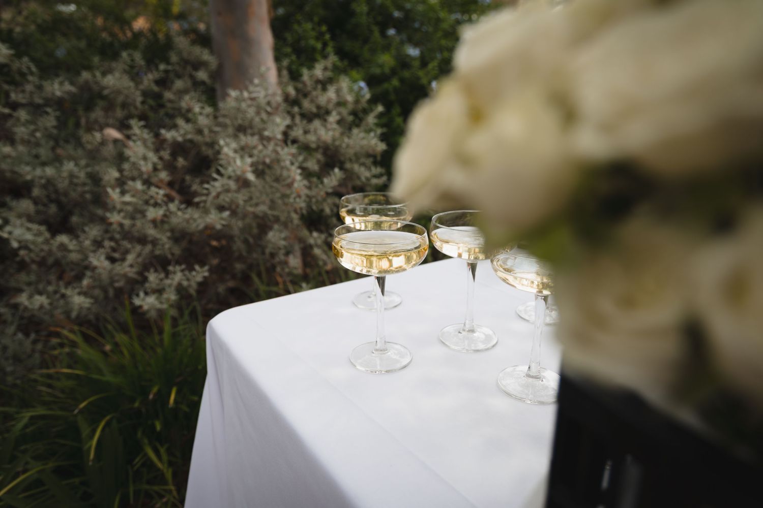 Elegant wine glasses set on a white tablecloth outdoors with greenery in the background.