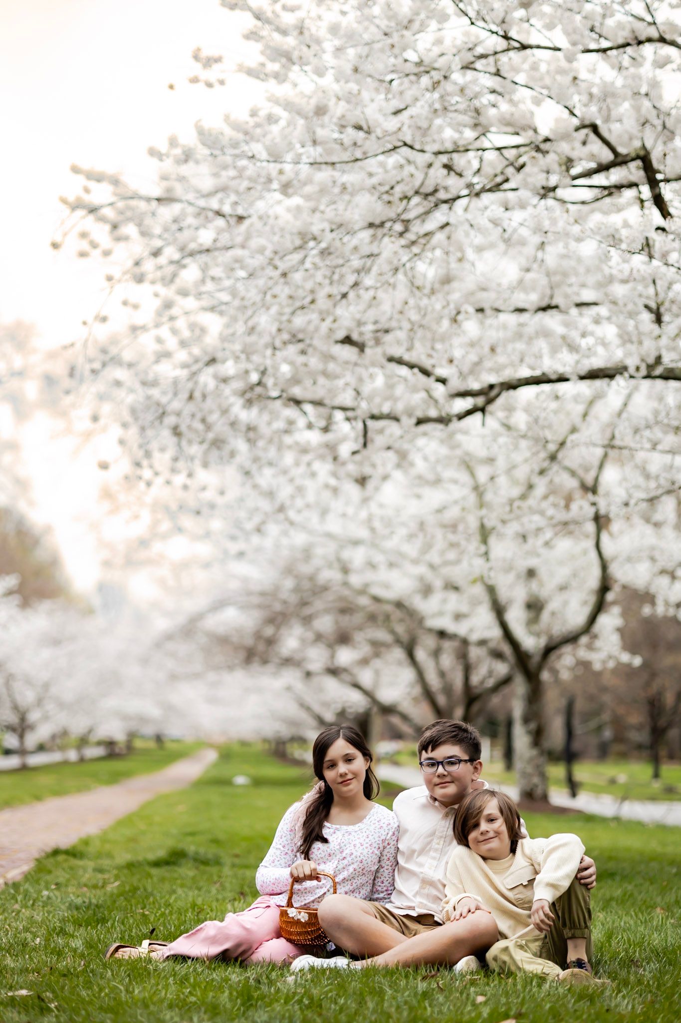 A family sits on grass under blooming cherry blossom trees in spring, creating a serene outdoor portrait setting in richmond virginia
