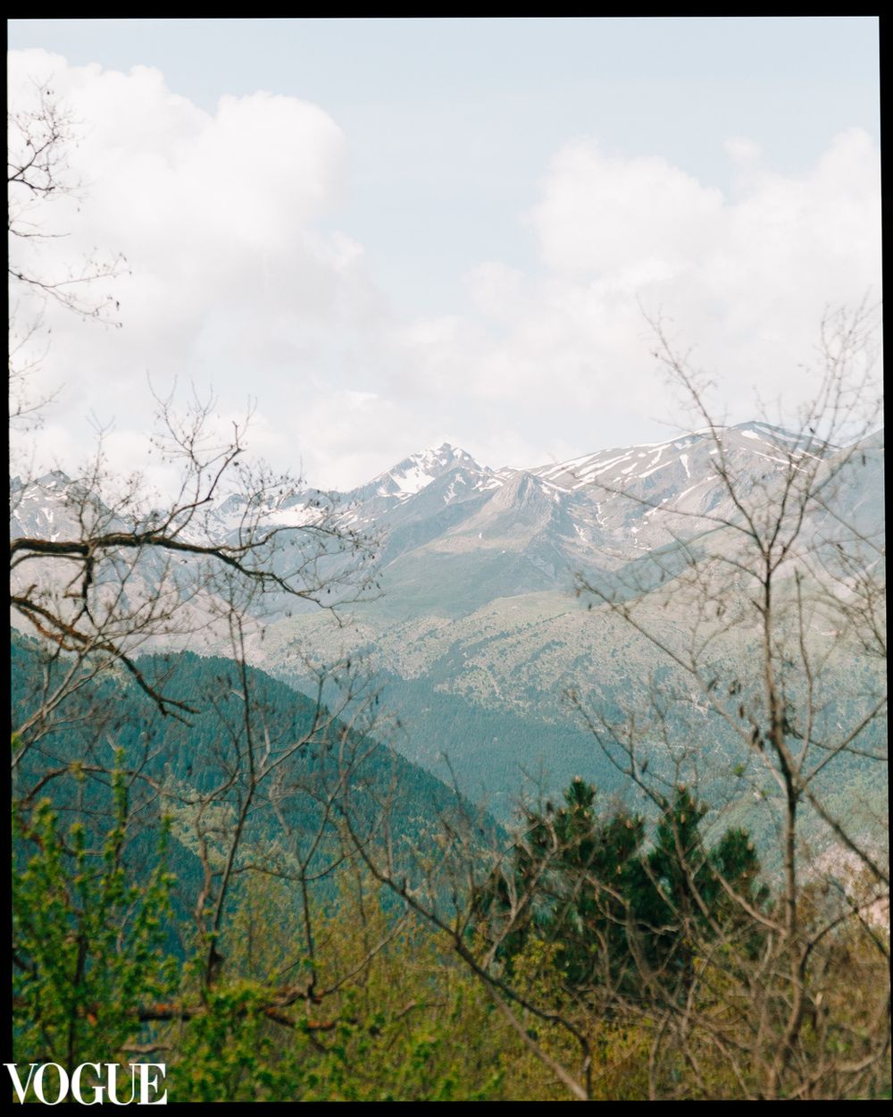 Snow-covered peaks framed by spring branches in the European highlands