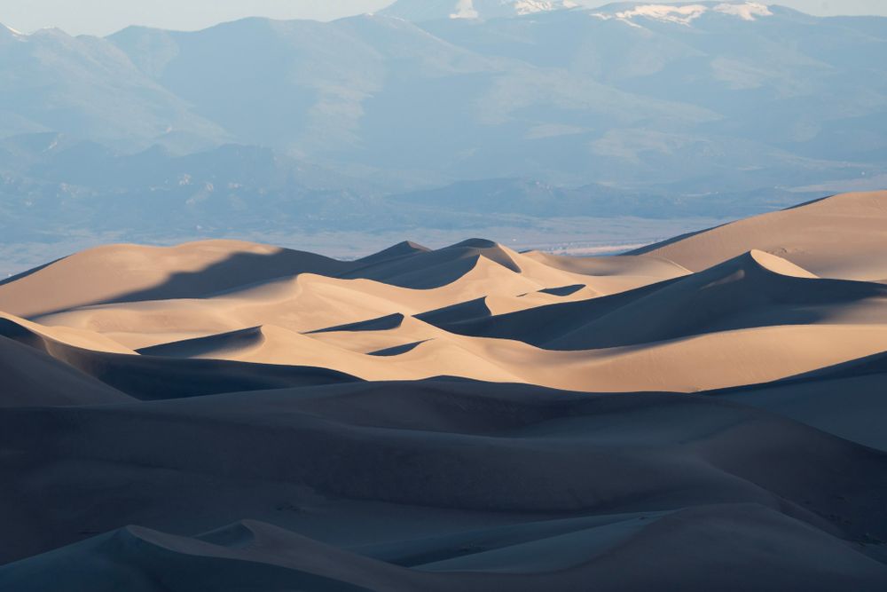 Rolling sand dunes cast dramatic shadows with snow-capped mountains visible in the distance.