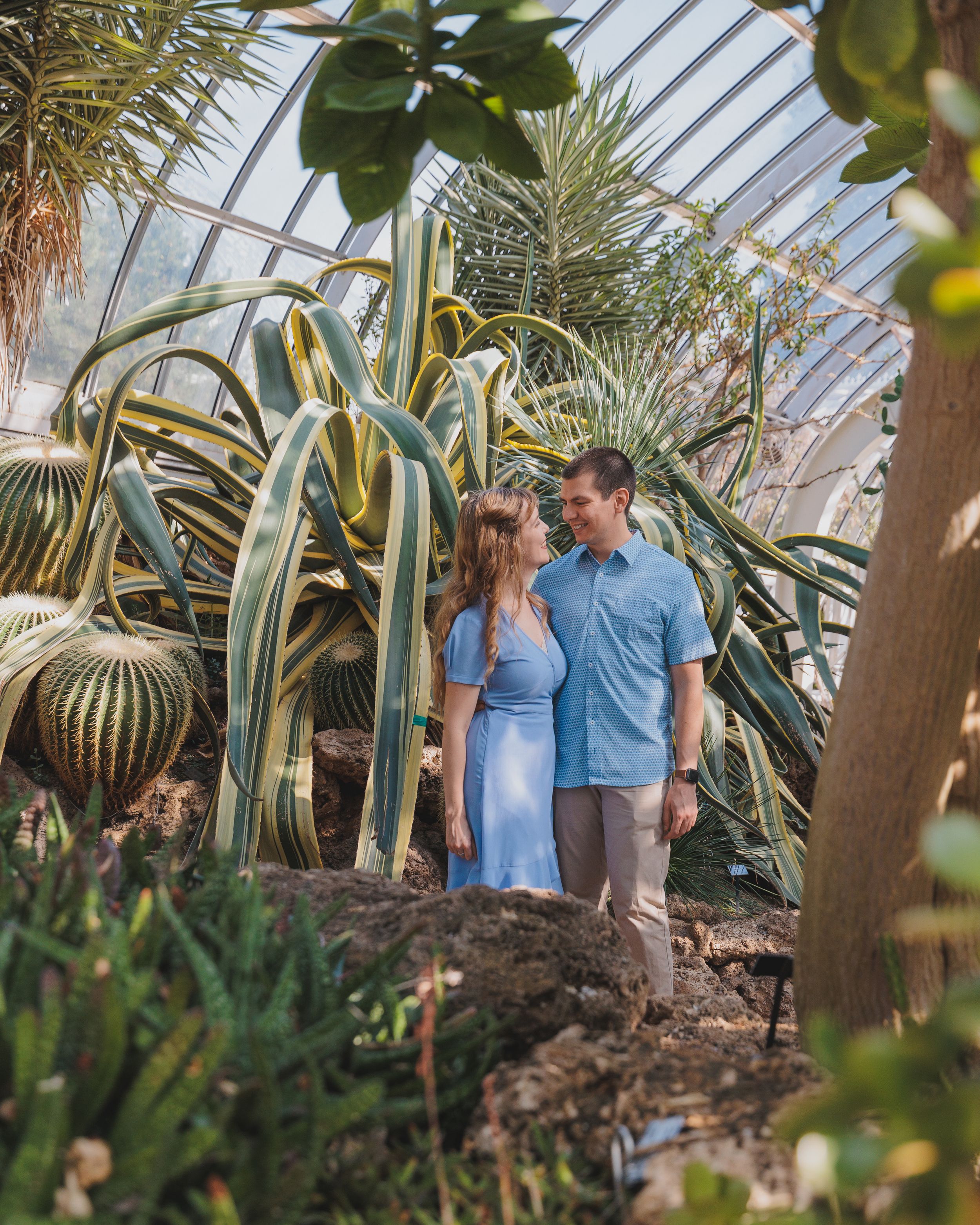 A couple explores a lush greenhouse surrounded by tall cacti, palms and tropical plants under a glass ceiling.