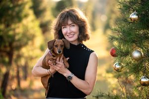 A dachshund puppy is held next to a decorated Christmas tree outdoors in warm golden sunlight.