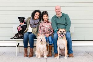 A family sits on a white bench with their three happy dogs - a black mixed breed, white terrier, and brown mixed breed.
