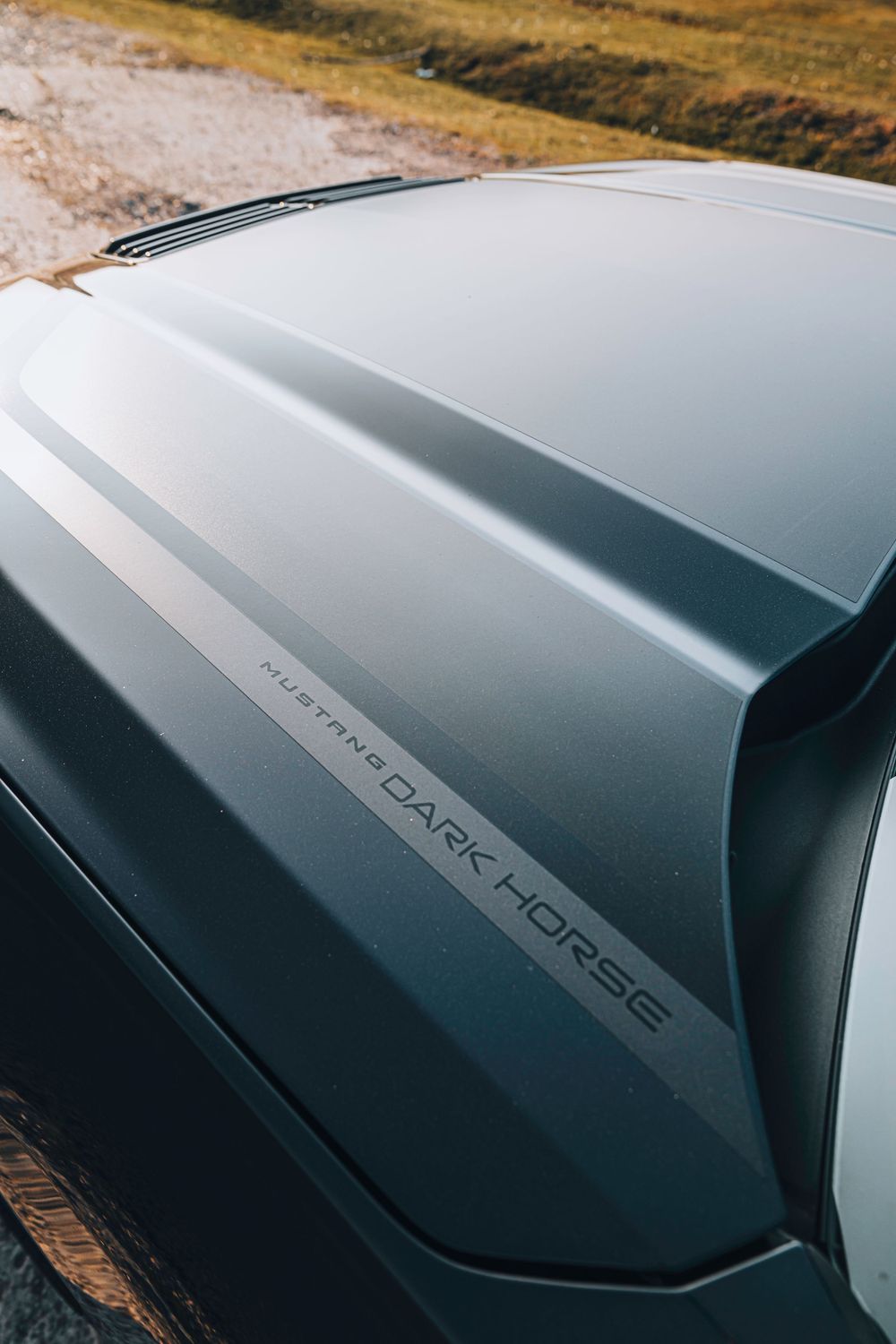 Dark Horse edition badge detail on sleek automotive body panel.