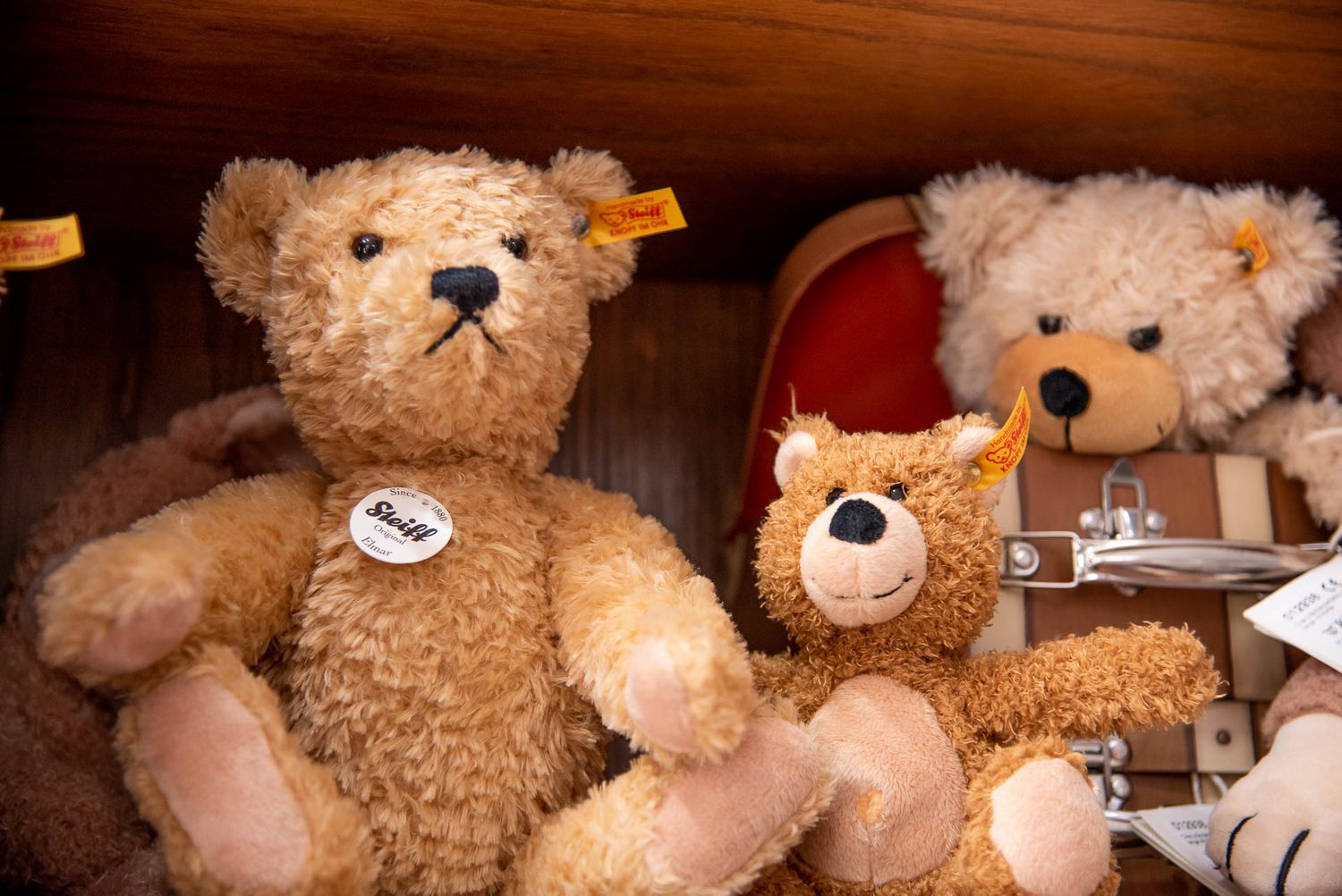 Two plush teddy bears with light brown fur sit together on a wooden shelf display.